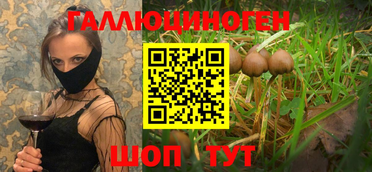 Галлюциногенные грибы GOLDEN TEACHER Шебекино