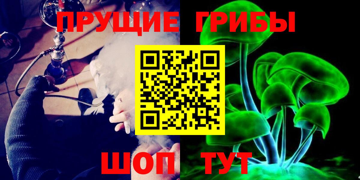 Псилоцибиновые грибы Psilocybe  Вход с VPN  магазин  наркотиков  Галлюциногенные грибы Psilocybe  Шебекино 